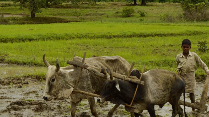 India proposed to raise carbamide prices