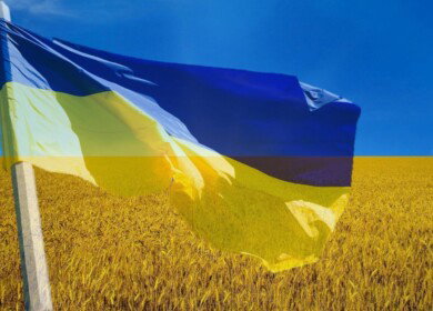 Ukraine sets a record in the nitrogen fertilizer output
