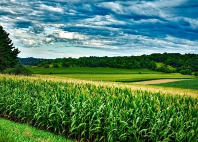 NASA and CropX will join forces