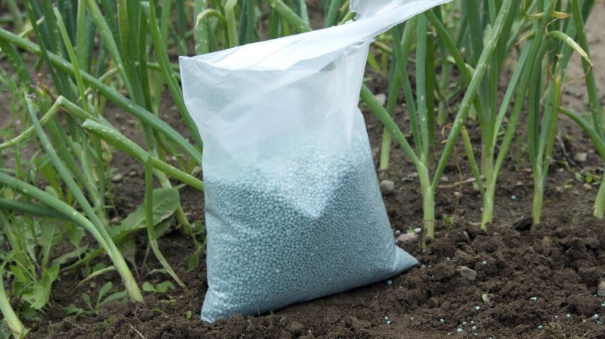 Russia increased the output of nitrogen fertilizers