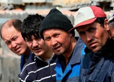 Illegal immigrant workers found on Eco-Culture’s production