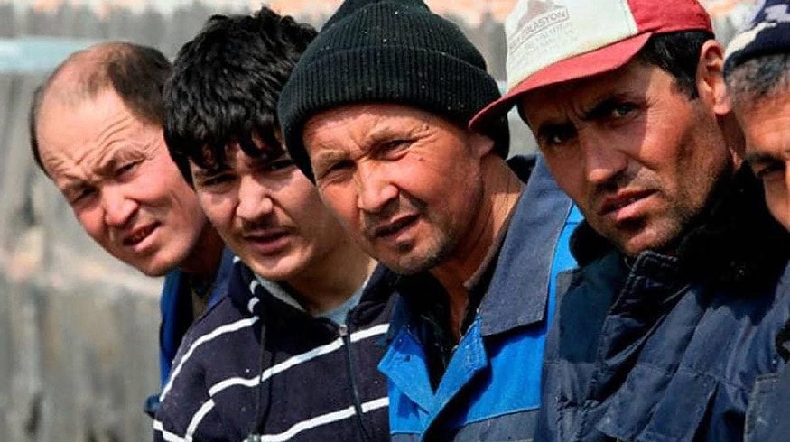 Illegal immigrant workers found on Eco-Culture’s production