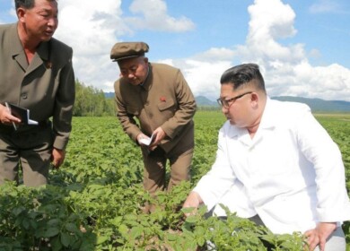 China restarted supplying agrochemicals to North Korea