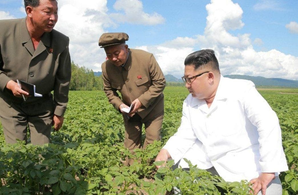 China restarted supplying agrochemicals to North Korea