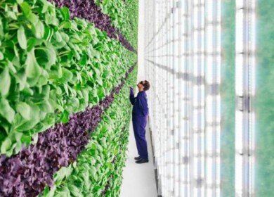 Plenty will start a new project