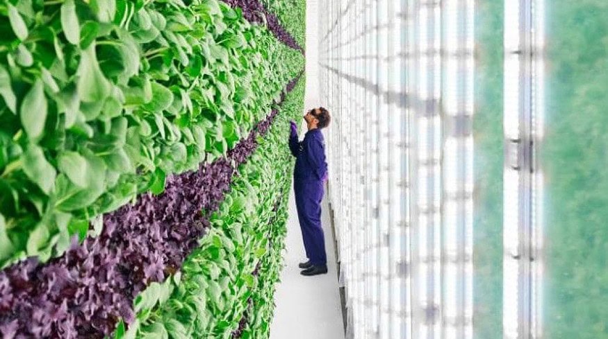 Plenty will start a new project