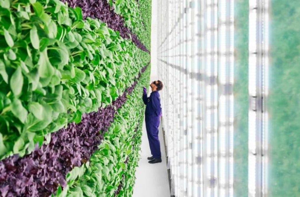 Plenty will start a new project