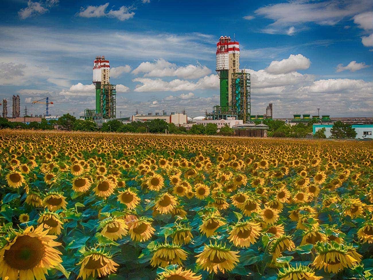 Odessa Port Plant set a record for the carbamide shipment