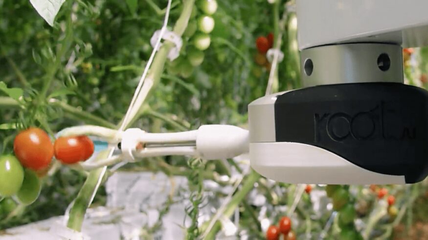 AppHarvest bought Root AI