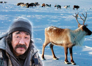 Two new greenhouse complexes will be constructed in Chukotka