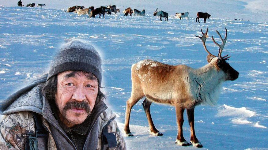 Two new greenhouse complexes will be constructed in Chukotka