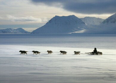 Chukotka expands its greenhouse business
