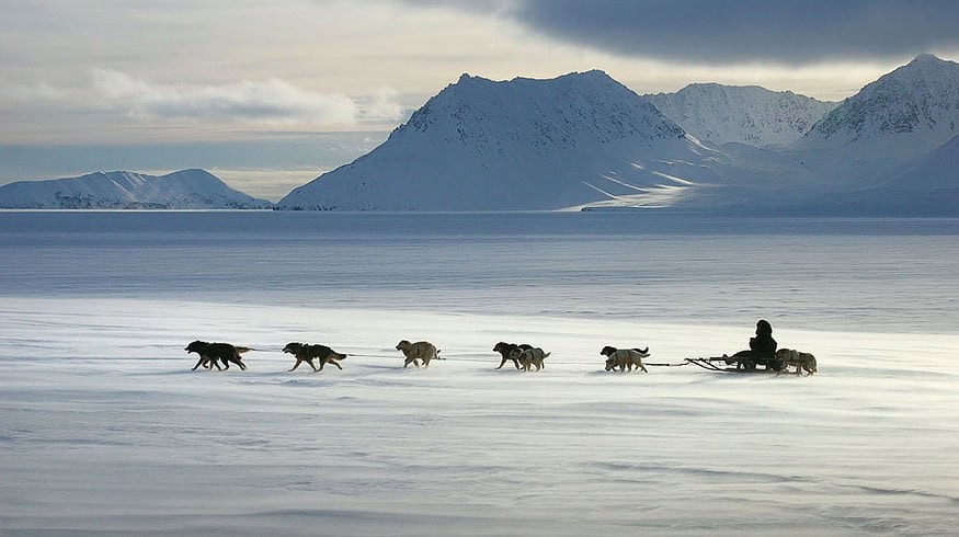 Chukotka expands its greenhouse business