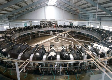 Is EkoNiva facing troubles?