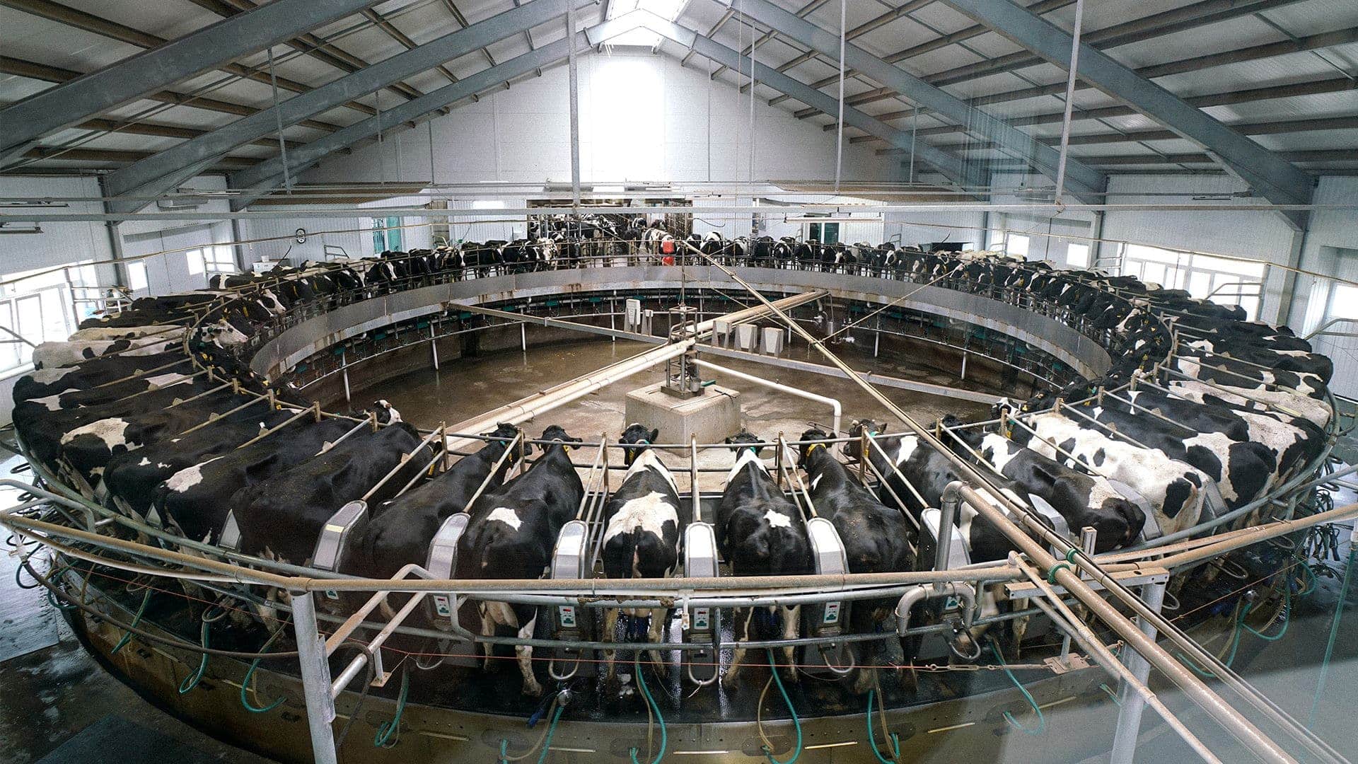 Is EkoNiva facing troubles?