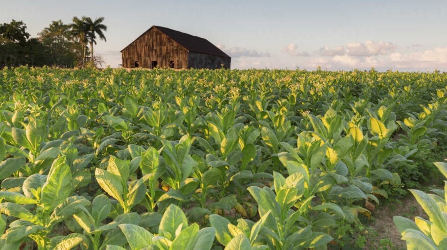 Cuba will increase the production of biological products