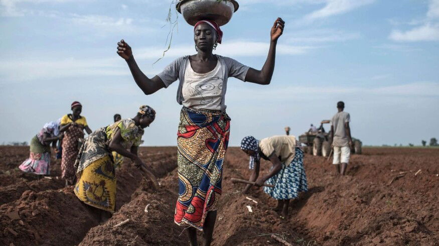 Nigeria has counted its farmers