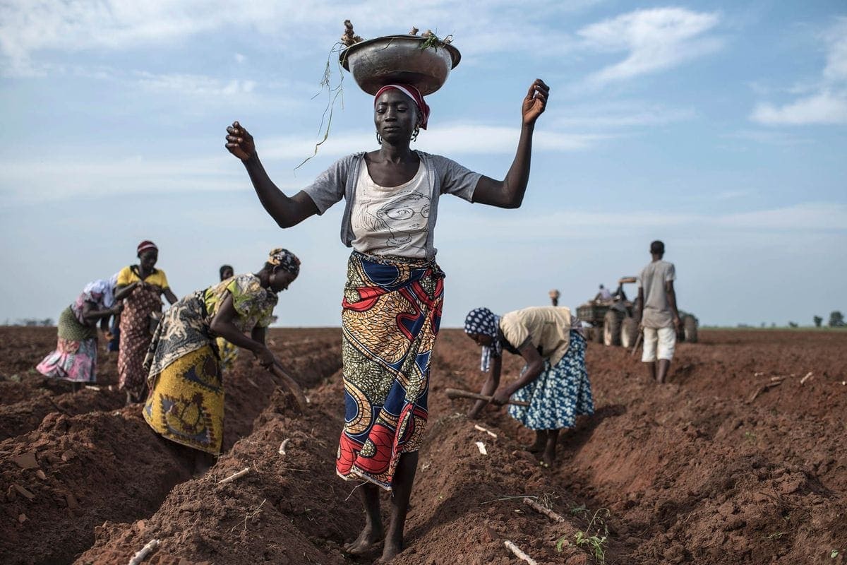 Nigeria has counted its farmers