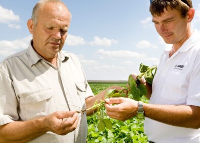 BASF and Tecnalia introduced an innovative image analysis technology