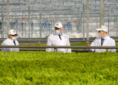 The Obskiy greenhouse complex was launched in the Novosibirsk region