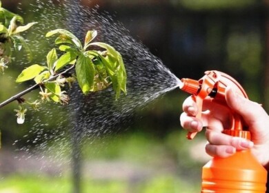 Vive Crop Protection will bring a new fungicide to the market