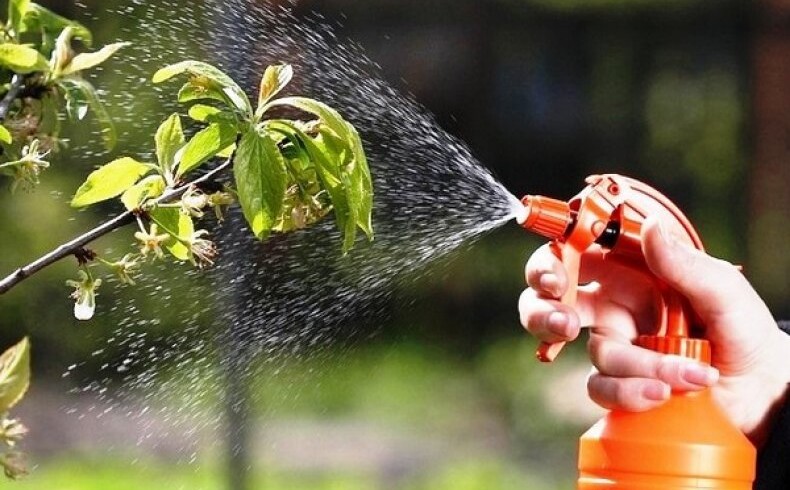 Vive Crop Protection will bring a new fungicide to the market