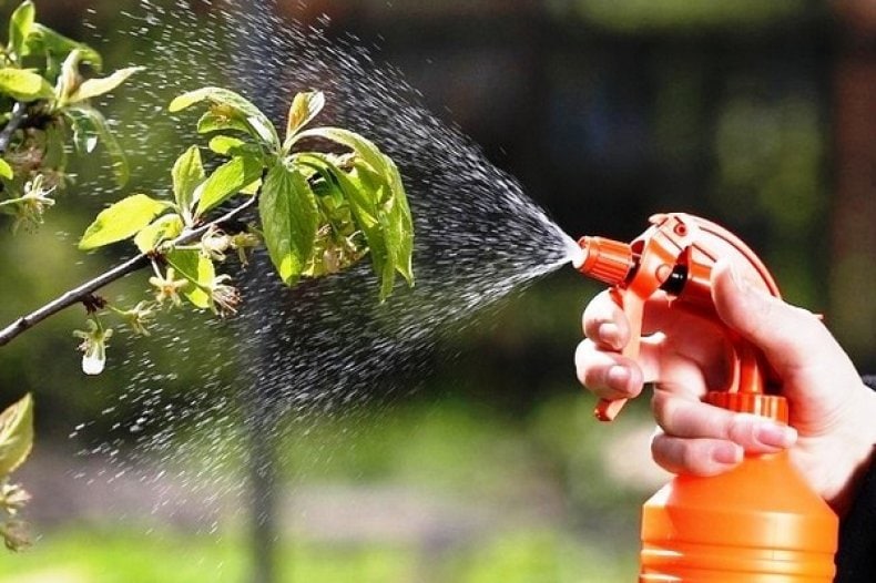 Vive Crop Protection will bring a new fungicide to the market