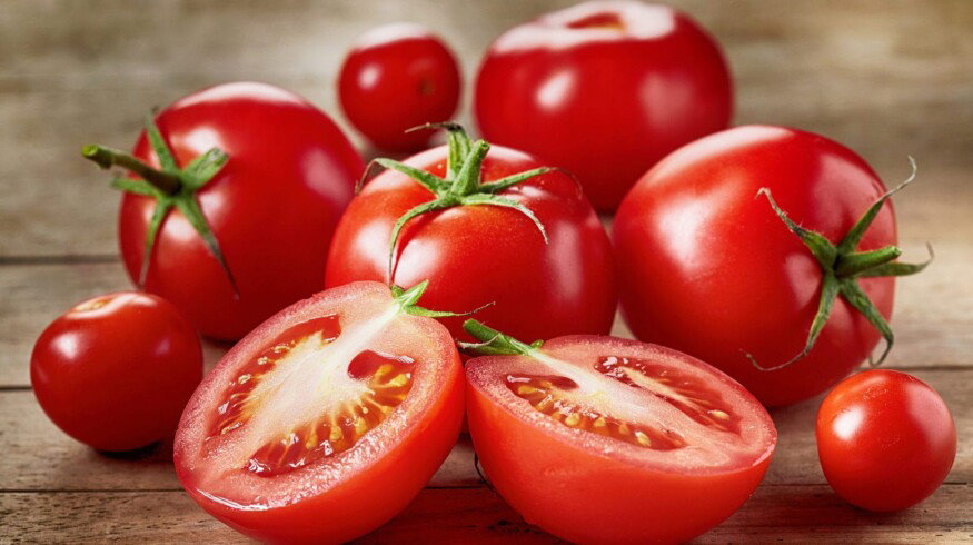 Bayer begins sales of new tomato varieties