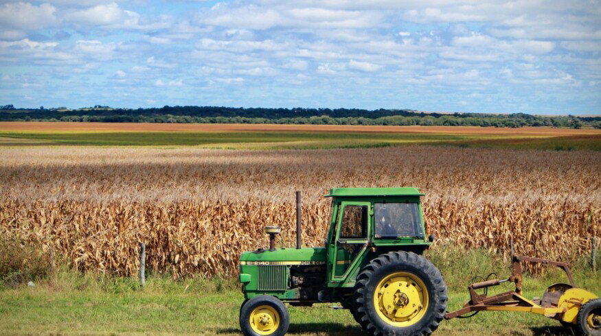 The demand for fertilizers in Russia may reach 5 million tons in 2022