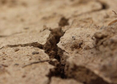 Kursk region is facing problems with the soil