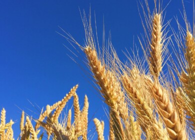 Ostchem launches a new credit program