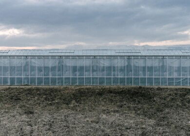 TyumenAgro plans to expand its assets