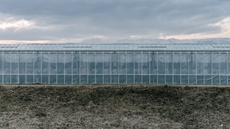 TyumenAgro plans to expand its assets