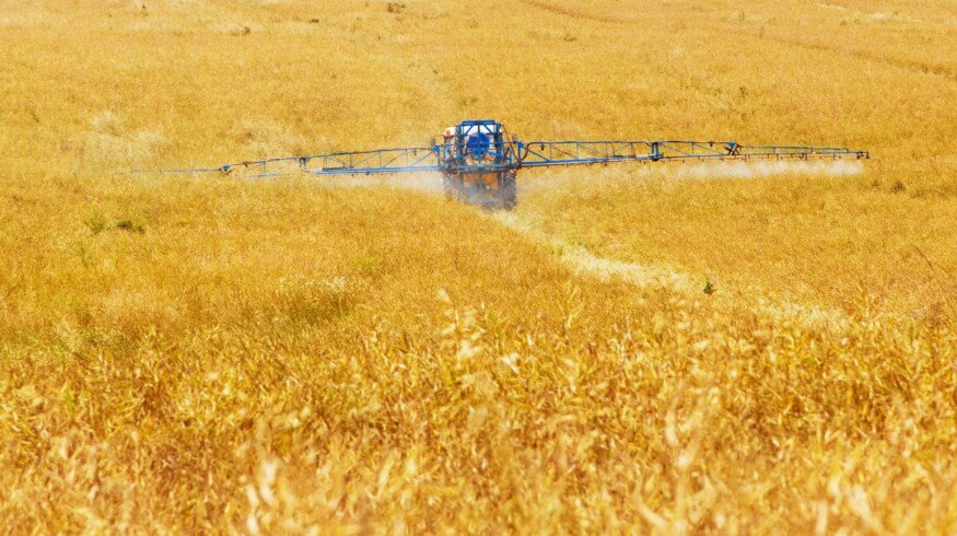 Ukraine faces a lack of innovative pesticides