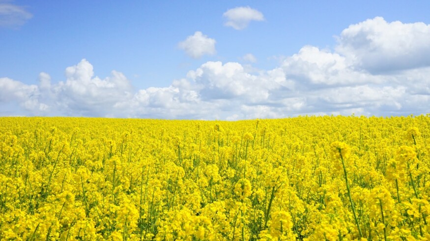 Aleko was fined for application of prohibited fertilizers