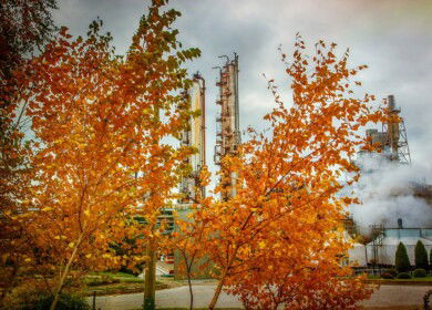 Odessa Port Plant suspends its production due to high gas prices