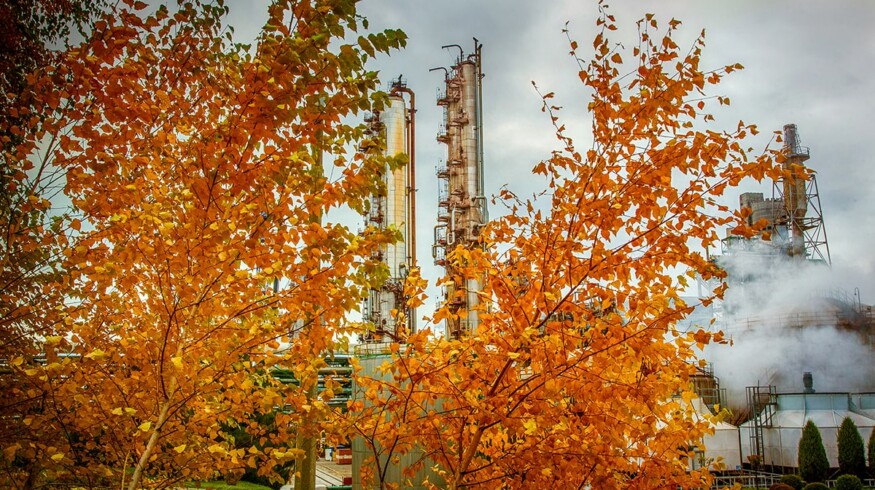 Odessa Port Plant suspends its production due to high gas prices