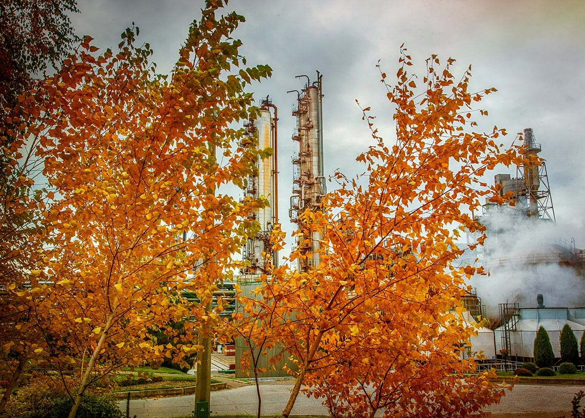 Odessa Port Plant suspends its production due to high gas prices