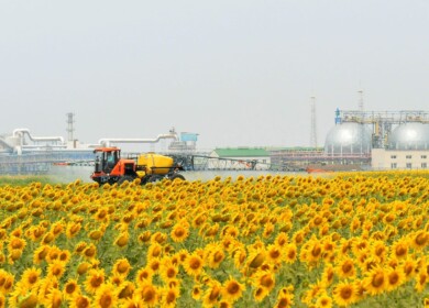 PhosAgro held a Field Day in the Saratov region