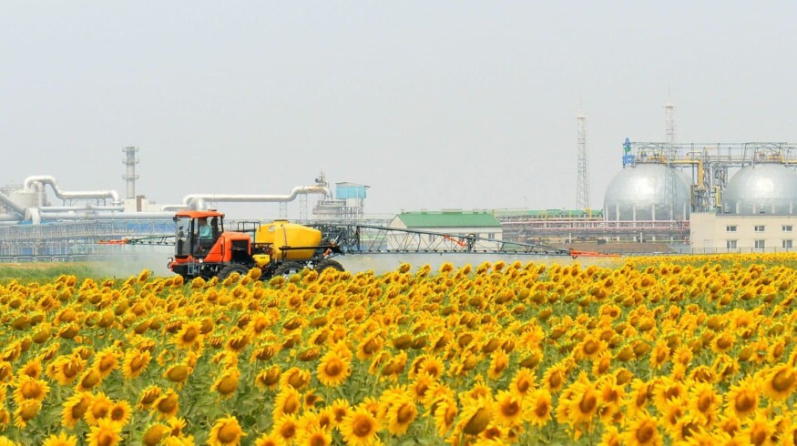PhosAgro held a Field Day in the Saratov region