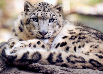 Avgust filed a claim against Bars