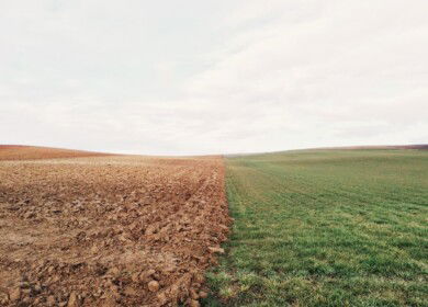 Purchases of mineral fertilizers are increasing in Chuvashia