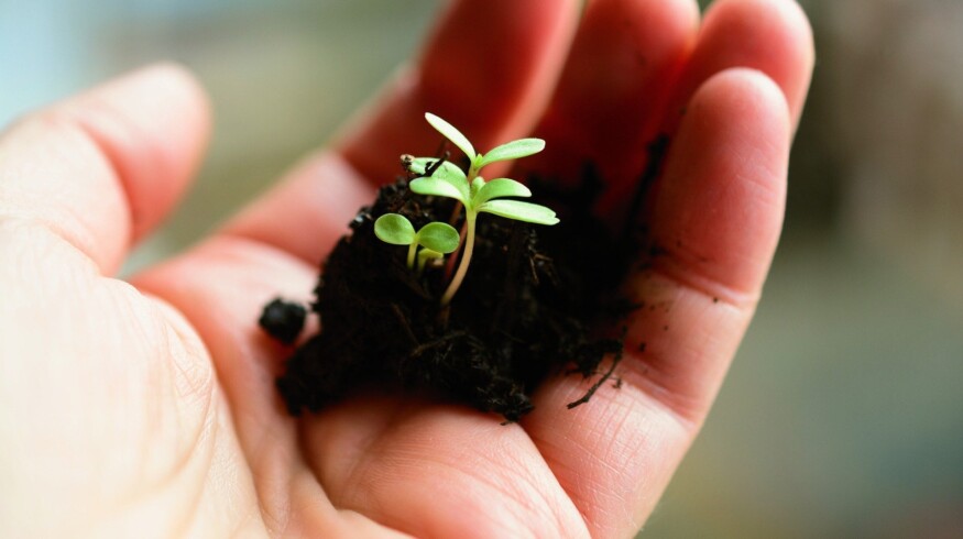 Turkmenistan will use manure and phosphorites to produce fertilizers