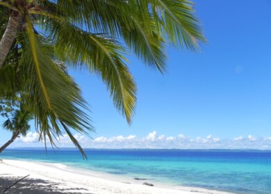 The government of Philippines induces farmers to start direct fertilizer imports