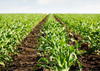 Nufarm Americas showcased a new herbicide to the market
