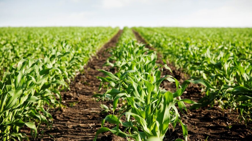 Nufarm Americas showcased a new herbicide to the market