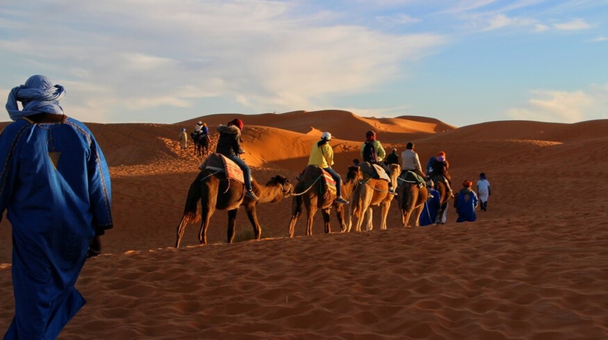 Morocco strives to be among green ammonia producers