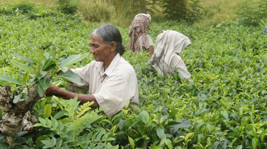 The state of Sri Lanka sticks to their plans