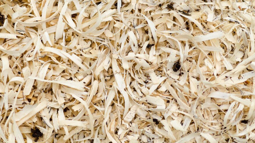 Fertilizer from sawdust was developed in the Far East