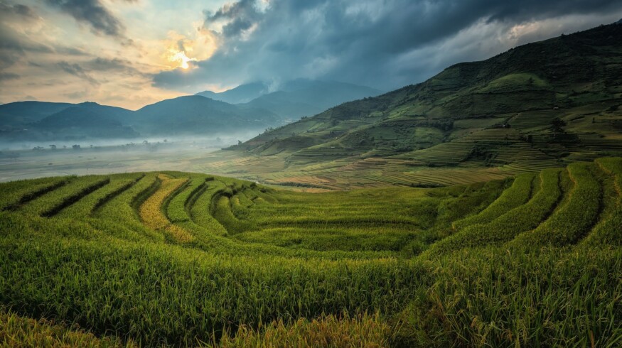 The Philippine farmers ask the government for support